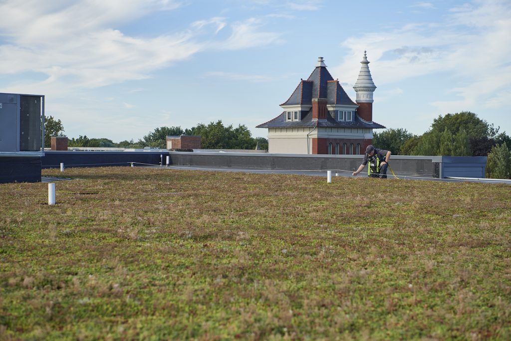 Green sedum roof at Landis Place on King in Lancaster, PA