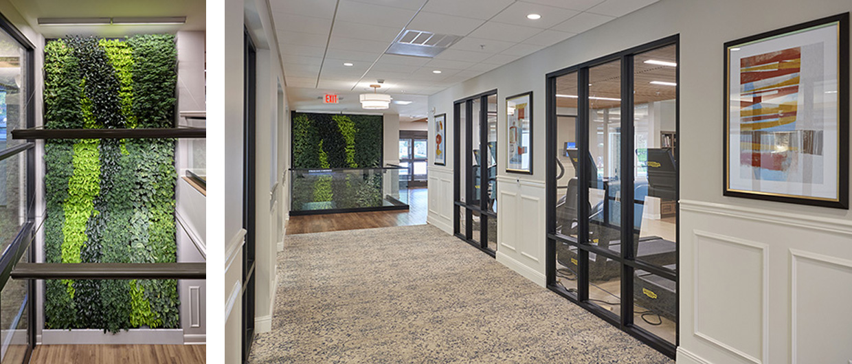 The 2-story green wall connects the upper wellness floor with the gym and group fitness space to the indoor pool and locker rooms on the lower level..